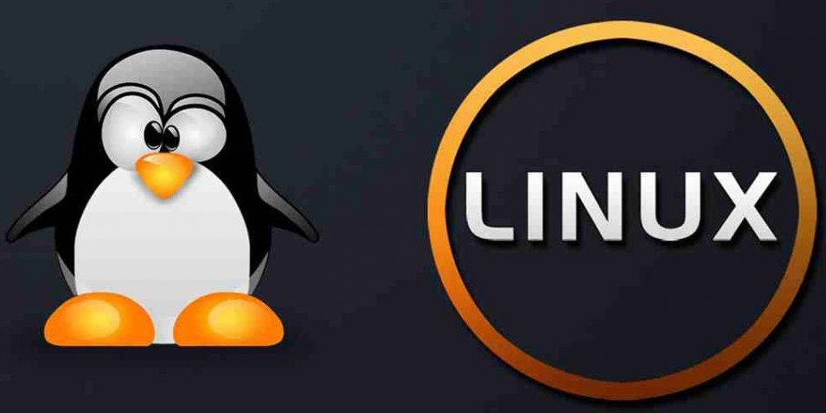 Linux Logo